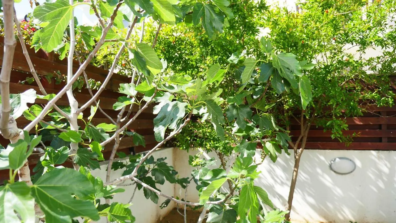 Villa Nova بروتاراس قبرص